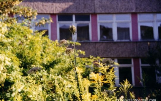 Lost place: Nikolaus Kopernikus Gymnasium, #5