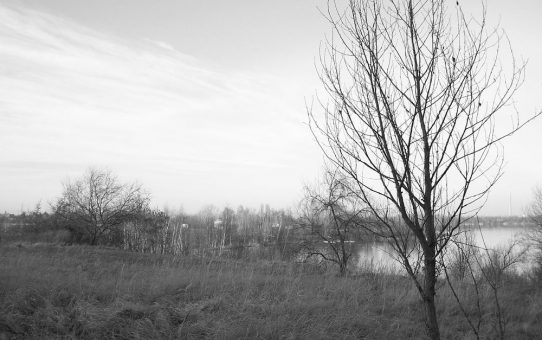 Kulkwitzer See