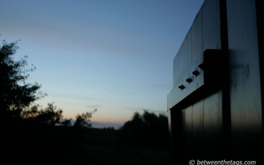 Let this evening come inside