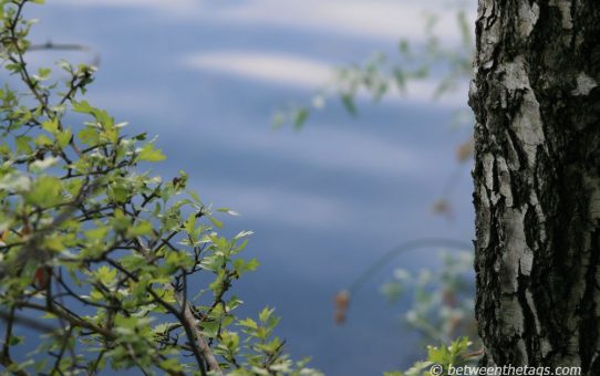 Naturschönheiten #1