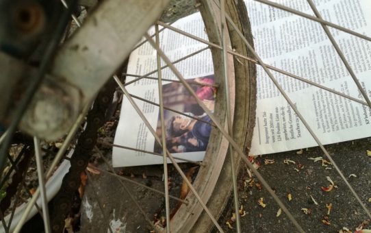 The observation files: pandemic is everywhere #2