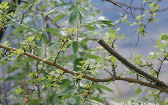 Naturschönheiten #3