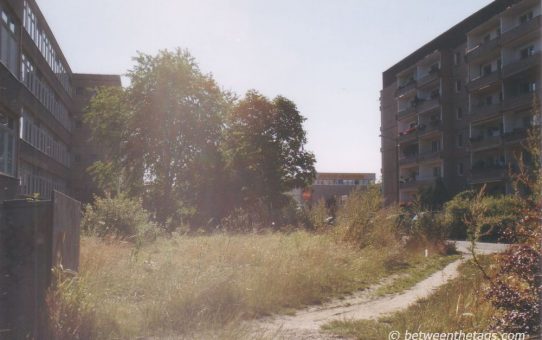 Lost place: Nikolaus Kopernikus Gymnasium, #17