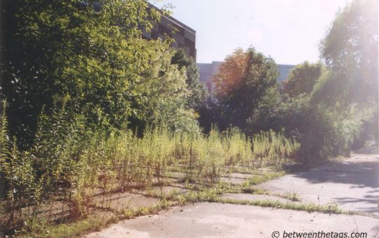 Lost place: Nikolaus Kopernikus Gymnasium, #19